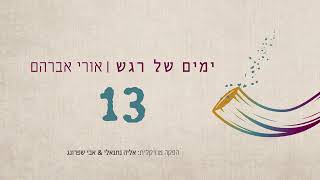 אורי אברהם - 13