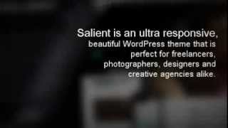Salient - Responsive Portfolio & Blog Theme + Download