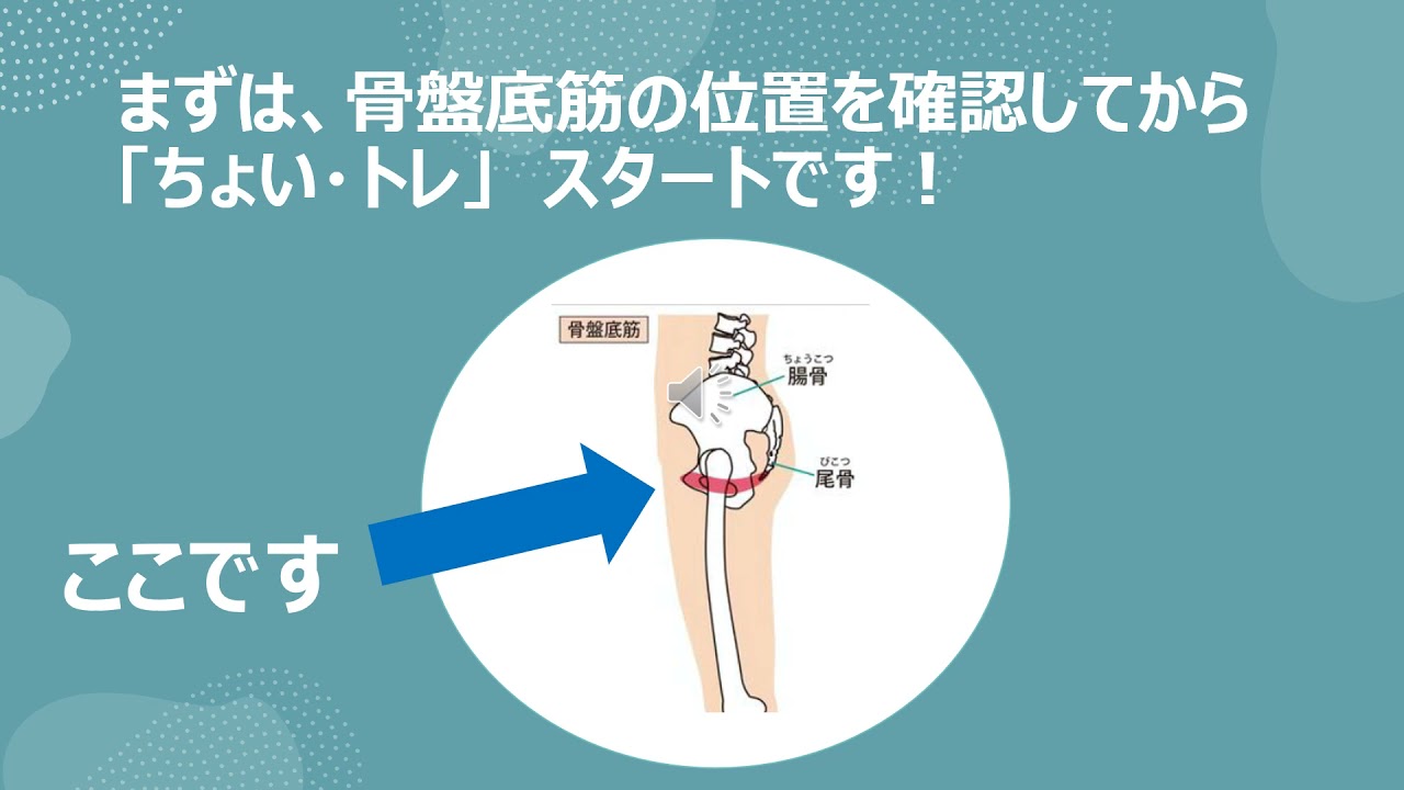 骨盤底筋をきたえる Youtube