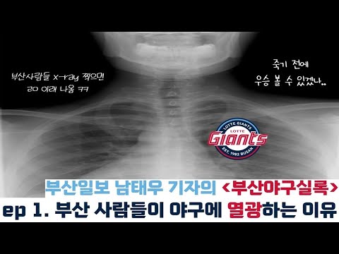 부산일보 남태우 기자의 부산야구실록 I EP1. 부산 사람들이 야구에 열광하는 이유