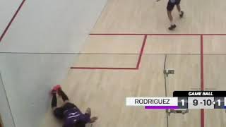 SQUASH. Great dive by Miguel Rodriguez wasn't enough | CIB Egyptian Open