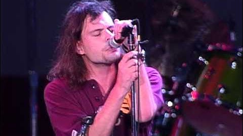 Gin Blossoms - Allison Road (Live at Farm Aid 1994)