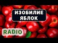 5 горячих экономических новостей, или Изобилие яблок