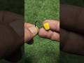 Tips on How to Put Bait on a Hook