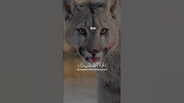 سورة يونس#سورة #سورة_يونس #تلاوة_خاشعة #اكسبلور