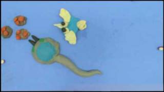 spore animation