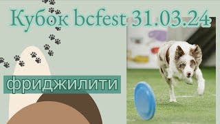 Кубок bcfest | Бордер встреча | Фриджилити | Соревнования по фризби |