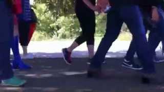 IMG 4316