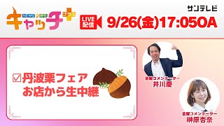 【▽丹波栗フェア開催のお店から生中継🌰】キャッチ+(9月26日金曜日)