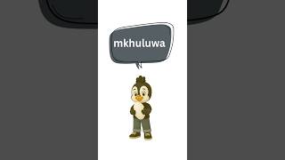 How to say big brother in isiXhosa🥰. #learnxhosa #language #languageforkids #xhosa