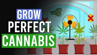 Grow the Perfect Cannabis: 10 Top Tips! screenshot 3