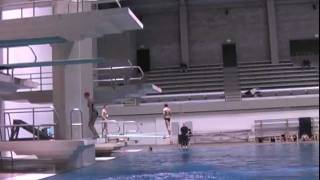 Wolf Tracks: Diving