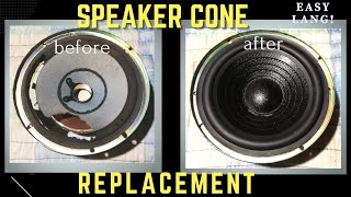 Speaker Cone Replacement