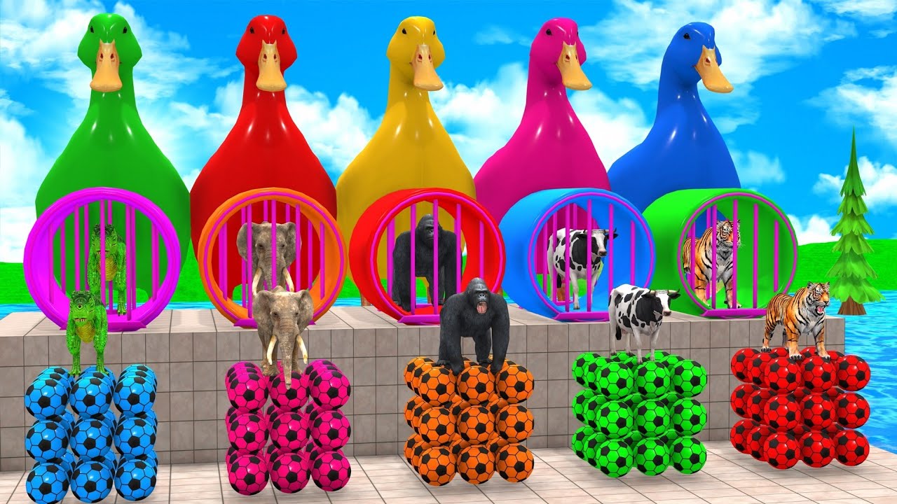 Long Slide Game with Cow Elephant Gorilla Hippopotamus Tiger 3d Animal Game Funny 3d Animals