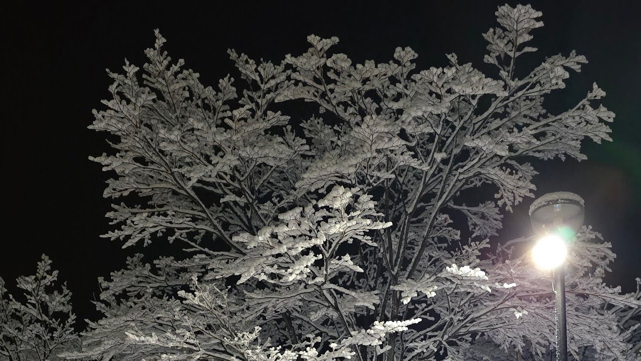 【緊急ライブ】また冬になっちゃった⛄