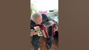 Germany accordion, Small accordion, 2/4 accordion, 40 Bass, 26 key, 2 voices, 2 register, ON SALE