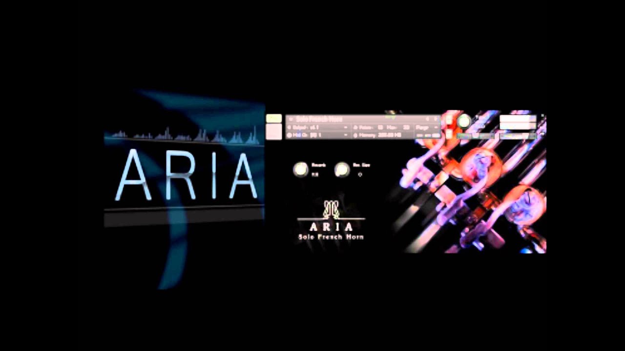 Aria French Horn Solo YouTube