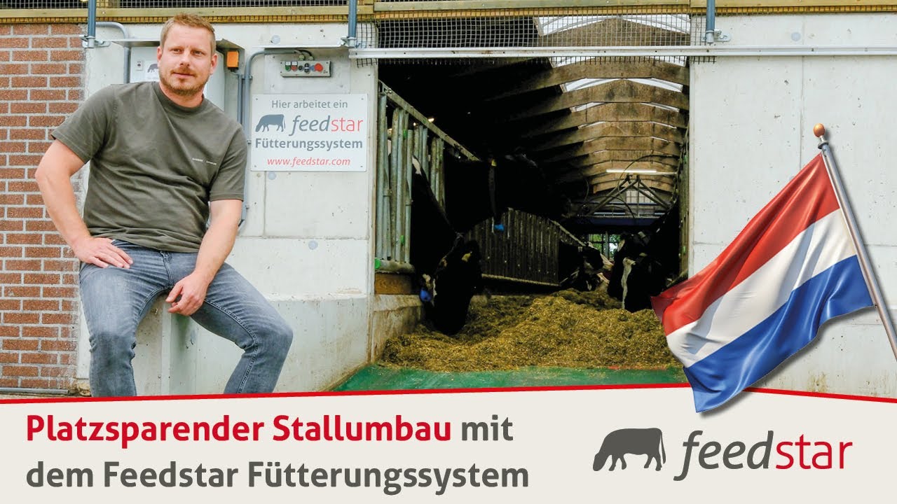 Platzsparender Stallumbau mit Futterband anstatt breitem Futtertisch | Betrieb Van der Steege