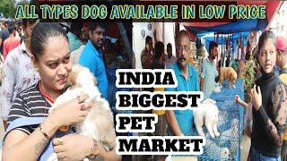 Cheap Price Dog In Kolkata : Galiff Street Pet Market Kolkata : Recent Dog Puppy Price Update : Dogs