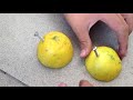 Experimento de Electricidad (con limones)