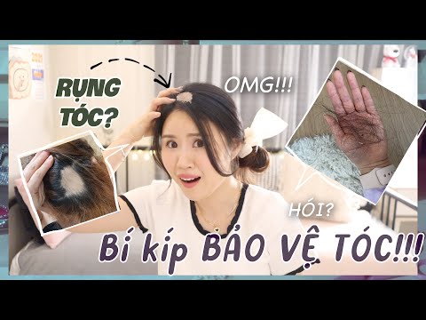 Bị Rụng Tóc - BẠN CÓ BỊ RỤNG TÓC NHIỀU K?😭TIẾT LỘ TẤT CẢ CÁC BÍ KÍP BẢO VỆ MÁI TÓC QUÝ GIÁ CỦA CÁC BẠN!