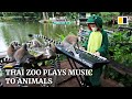 Thai zoo plays live music to animals as visitor numbers drop during Covid-19