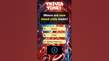 🚀 Interesting Science Facts Quiz! 🧠🫵🤯 #humanbodyquiz #trivia