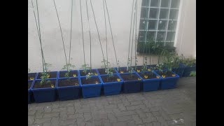 Saisonstart Pflanzmarathon 2023