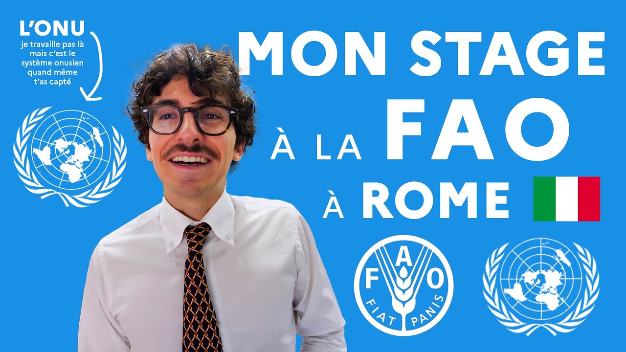 MON STAGE  LA FAO  ROME lOrganisation des Nations unies pour lalimentation et lagriculture