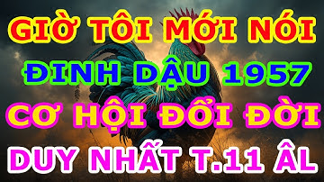 Giờ Tôi Mới Nói Tuổi Đinh Dậu 1957 Cơ Hội Đổi Đời, Giàu Sang Phú Quý Bậc Nhất ,Duy Nhất Tháng 11 ÂL