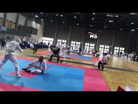ashihara karate gyor 2018 world championship Tarik Keric