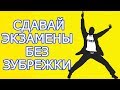 8 способов быстро подготовиться и сдать экзамен или зачет – Как выучить экзамен и сдать сессию