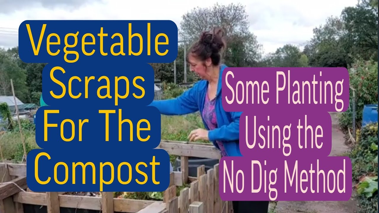 Vegetable Scraps For The Compost ( Planting Using The No Dig Method ...