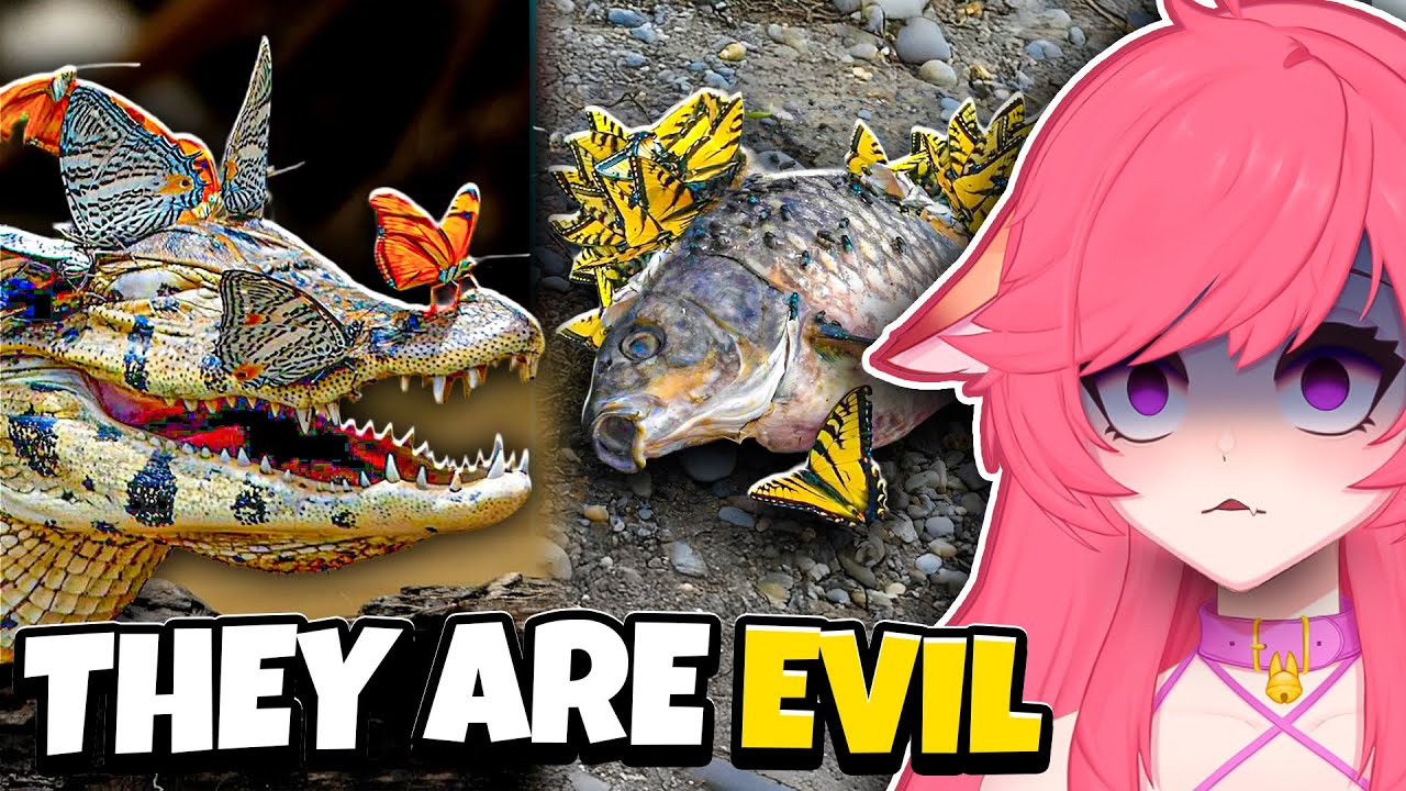 You all owe me an APOLOGY || Casual Geographics Reaction