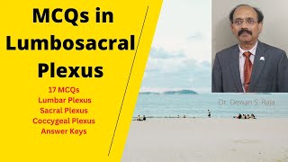 MCQs in Lumbosacral Plexus
