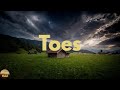 Zac Brown Band - Toes (Lyrics)
