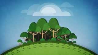 Les projets forestiers [Info Compensation Carbone]