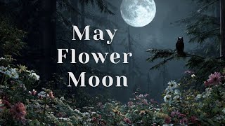May 2026 Flower Moon 🌸 Full Moon Rituals for Growth, Renewal & Manifestation screenshot 4