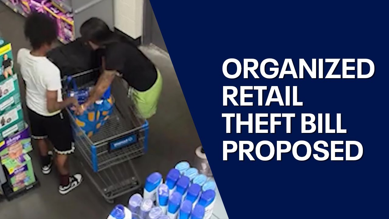 Arizona organized retail theft bill gains traction - YouTube