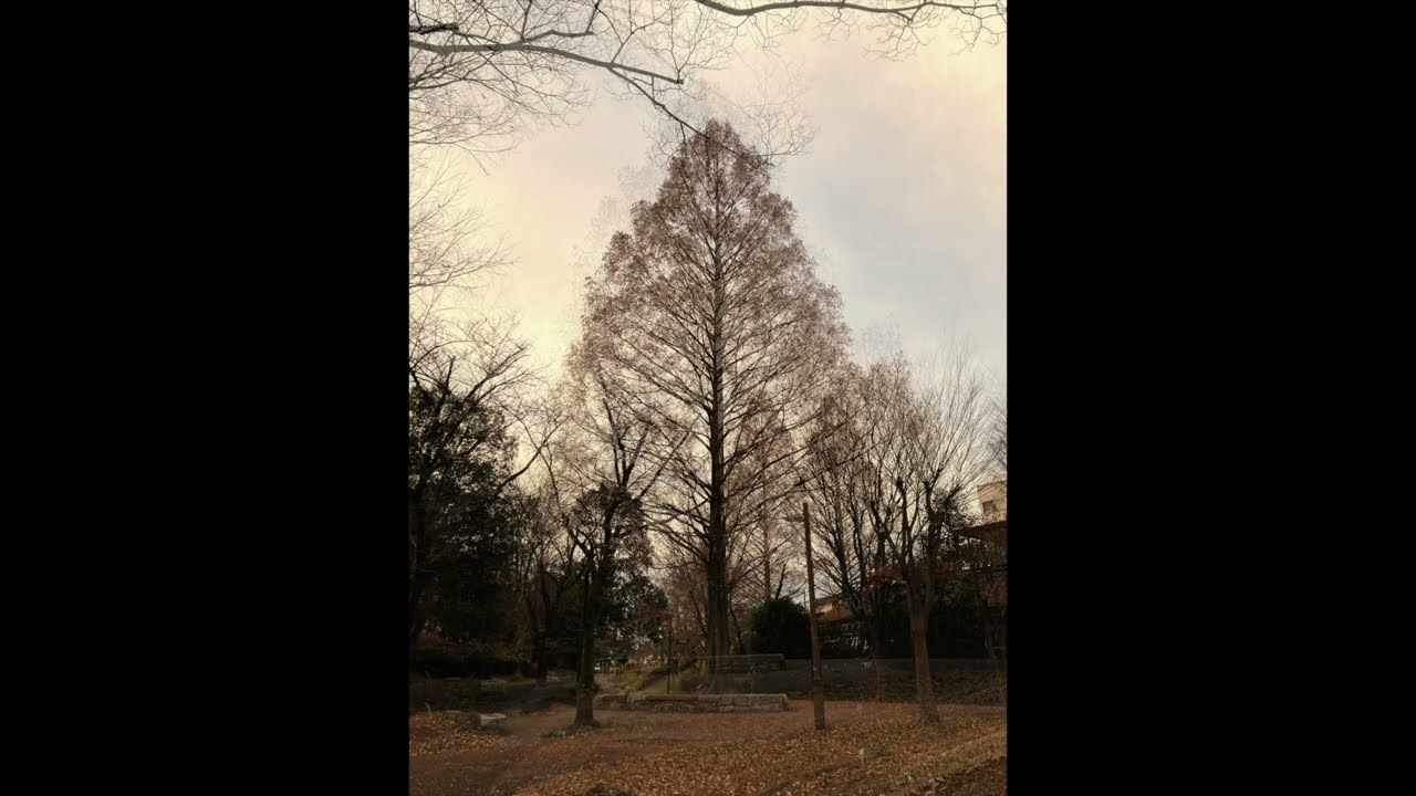 浮 - 大汽（アルバム『あかるいくらい』告知映像） - YouTube
