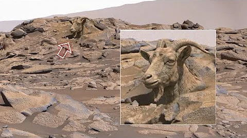 Amazing 4K Mars Footage | NASA Rover Reveals a Silent, Ancient, and Stunning Martian Landscape