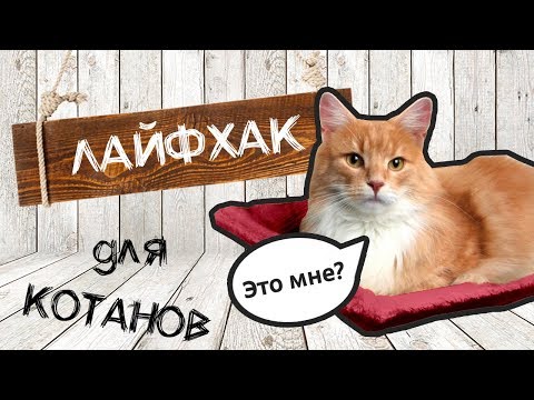 Лежанка для кошек на батарею своими руками