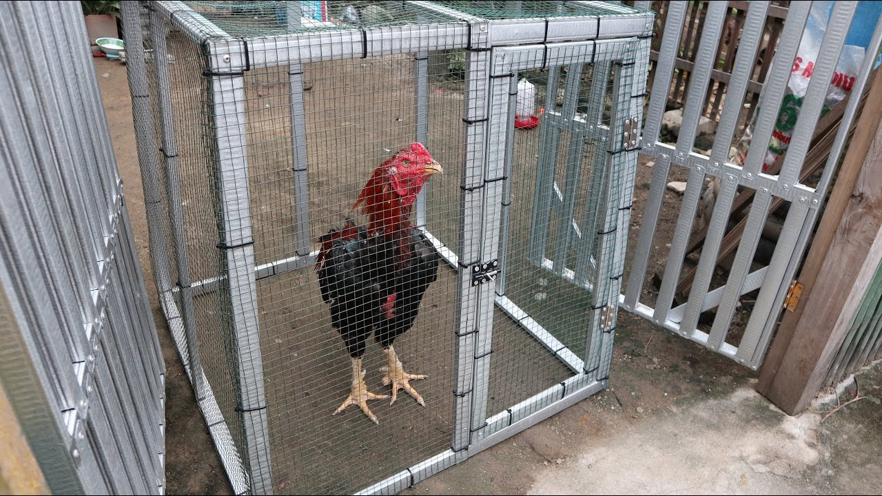  Membuat  kandang jemur ayam dari  baja  ringan  YouTube