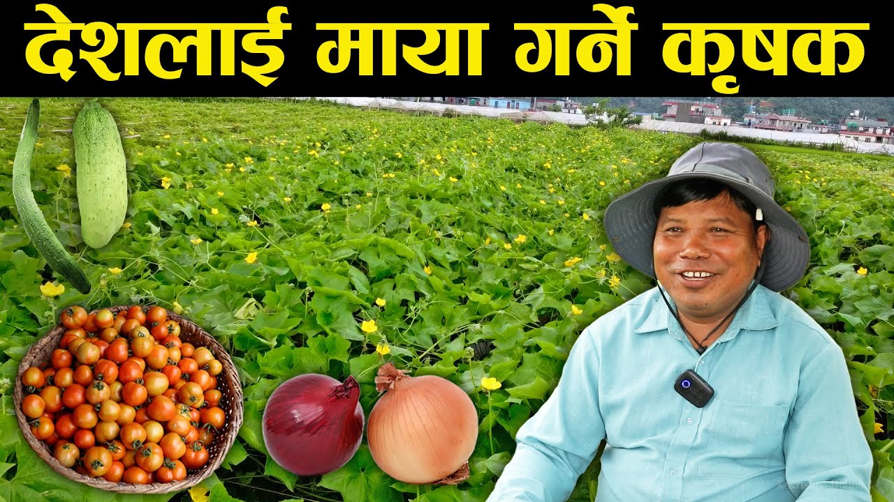 तरकारी खेती गरेका चौधरीको प्रश्न : सबै विदेश जाने अनि नेपालको विकाश भएन भन्ने ?