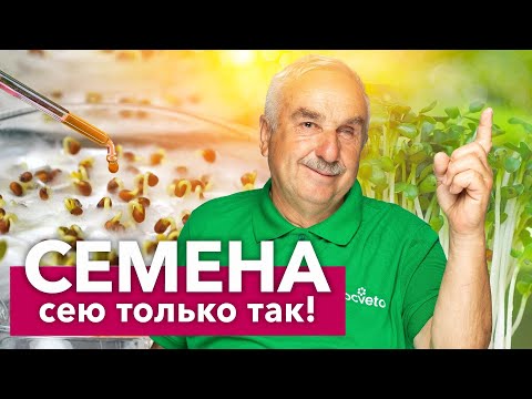 СЕМЕНА ВСХОДЯТ ЩЕТКОЙ после этого простого приема! Даже старые семена проклюнутся на 3-й день