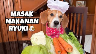 RESEP MAKANAN ANJING‼️🐶 RYUKI LAHAP BANGET😋