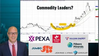 Don’t be in a Rush to Short This Market | PXA PLS JIN JLG WDS VUL