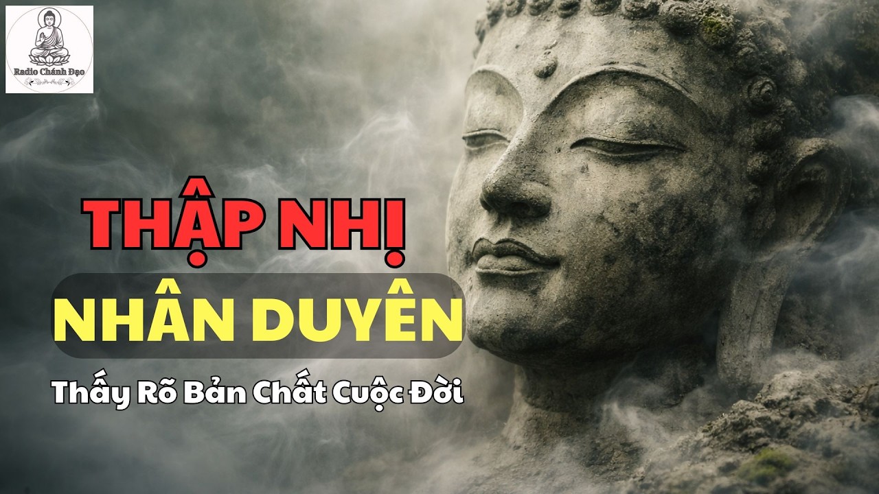 Quán 12 Nhân Duyên – Thấy Rõ Bản Chất Cuộc Đời