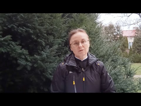 Pallotyński komentarz // s. Monika Jagiełło SAC // 9.2.2022 //