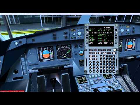 Flight simulator demo